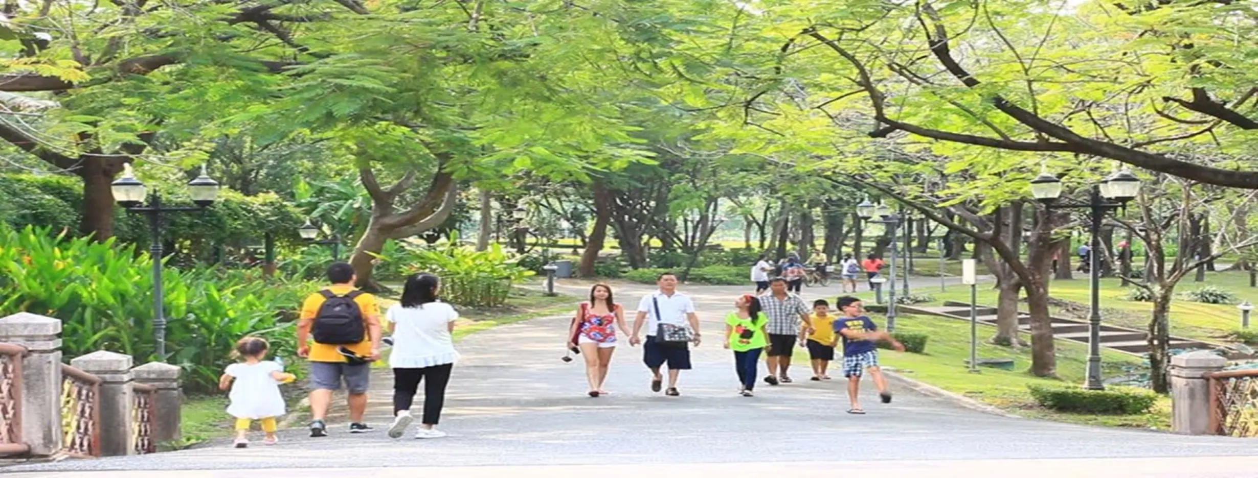Image for Park Stroll